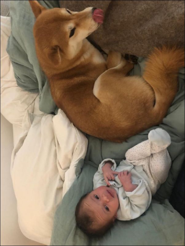 IMG-20191202-WA0007