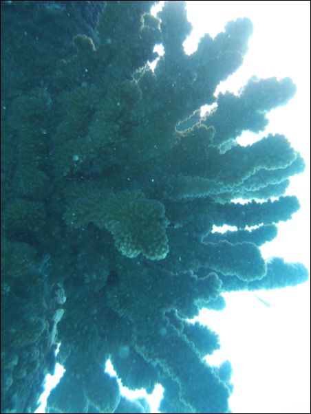 DSCF0199