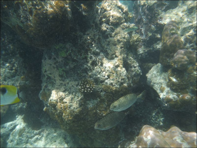 DSCF0207