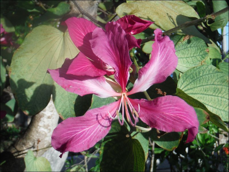 DSCF0228