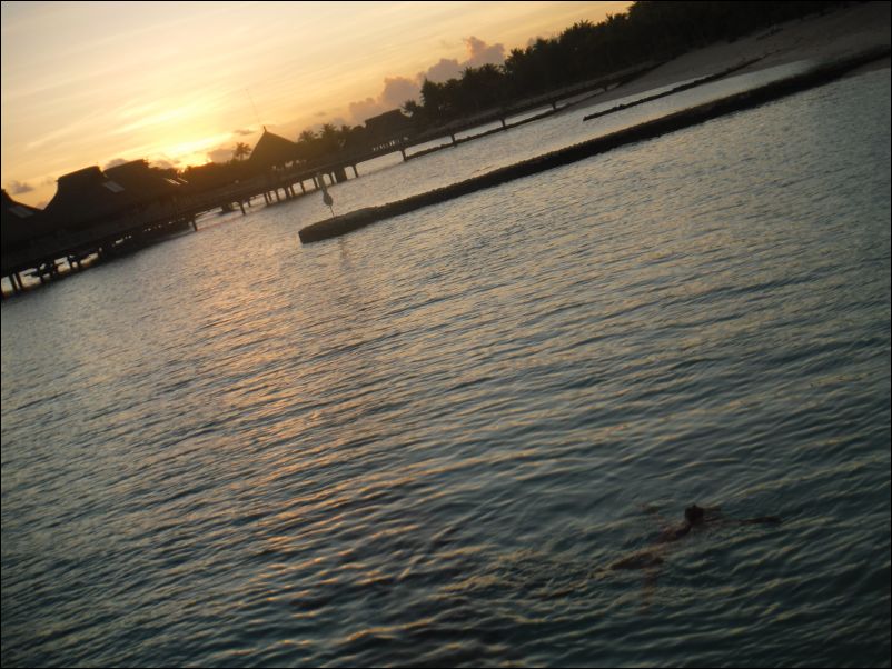 DSCF0239