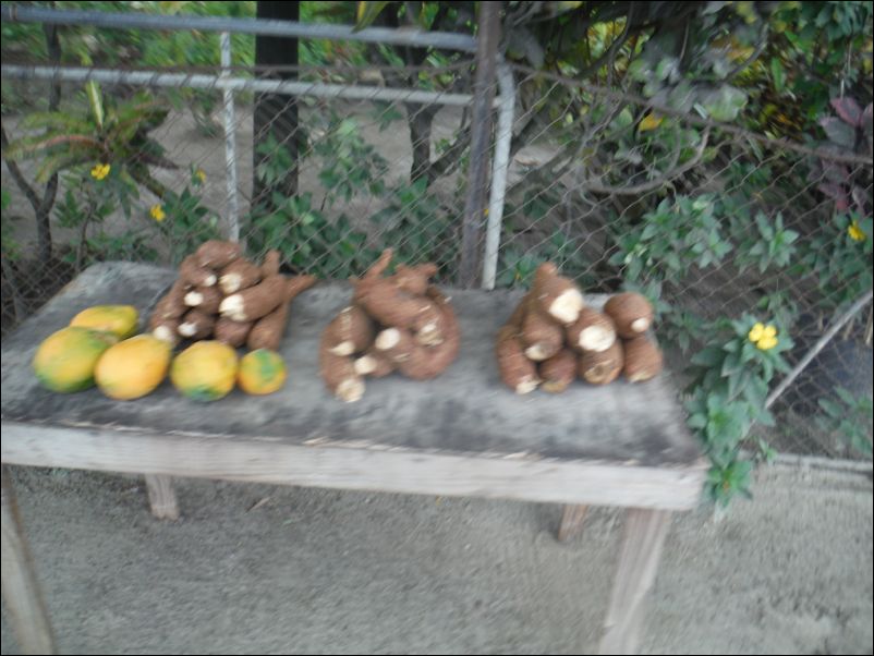DSCF0259