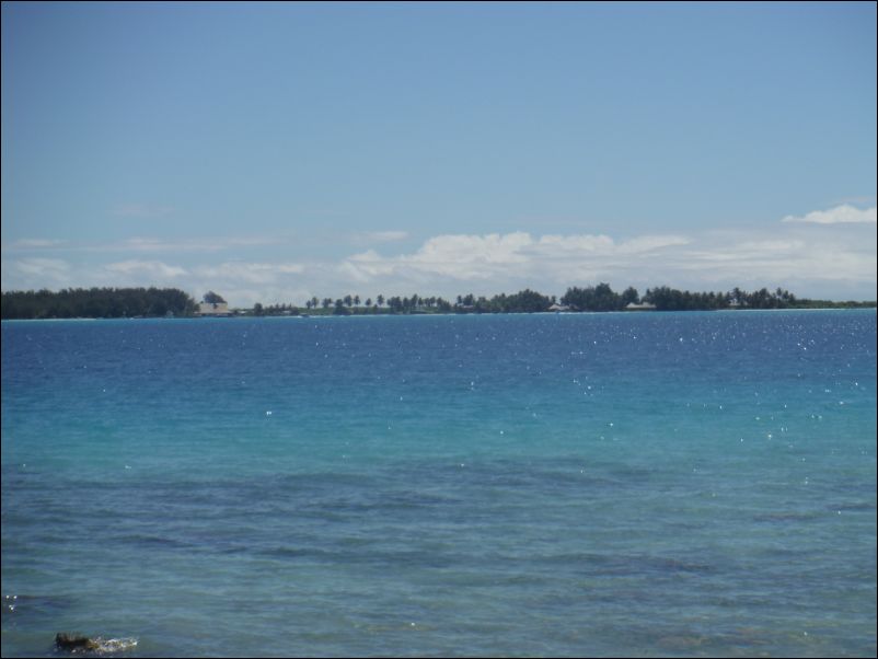 DSCF0279