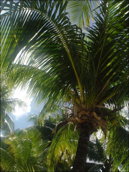 DSCF0377