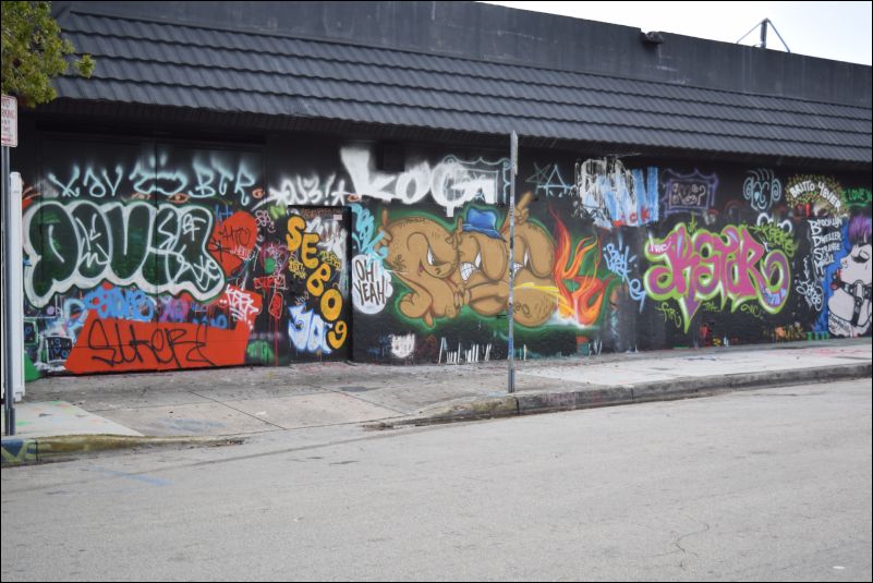 DSC_1230