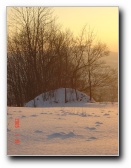 [Click to enlarge]