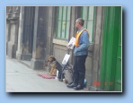 [Click to enlarge]