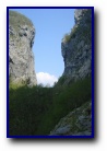 [Click to enlarge]