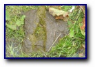 [Click to enlarge]
