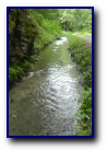 [Click to enlarge]