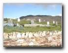 [Click to enlarge]