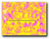 [Click to enlarge]