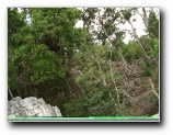 [Click to enlarge]