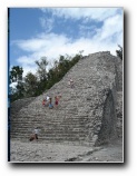 [Click to enlarge]