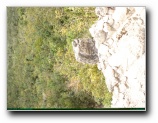 [Click to enlarge]