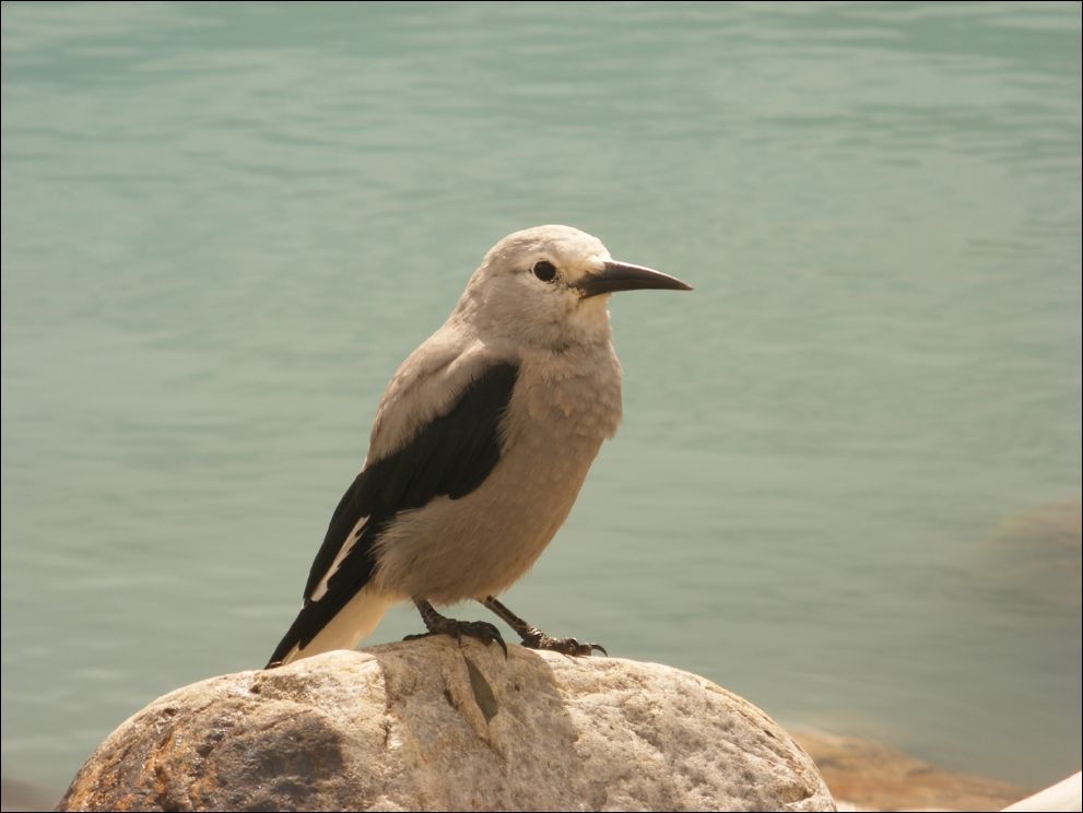 DSCF0950