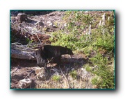 Click to enlarge