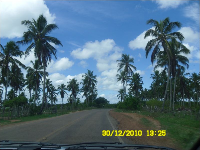 SAM_0147