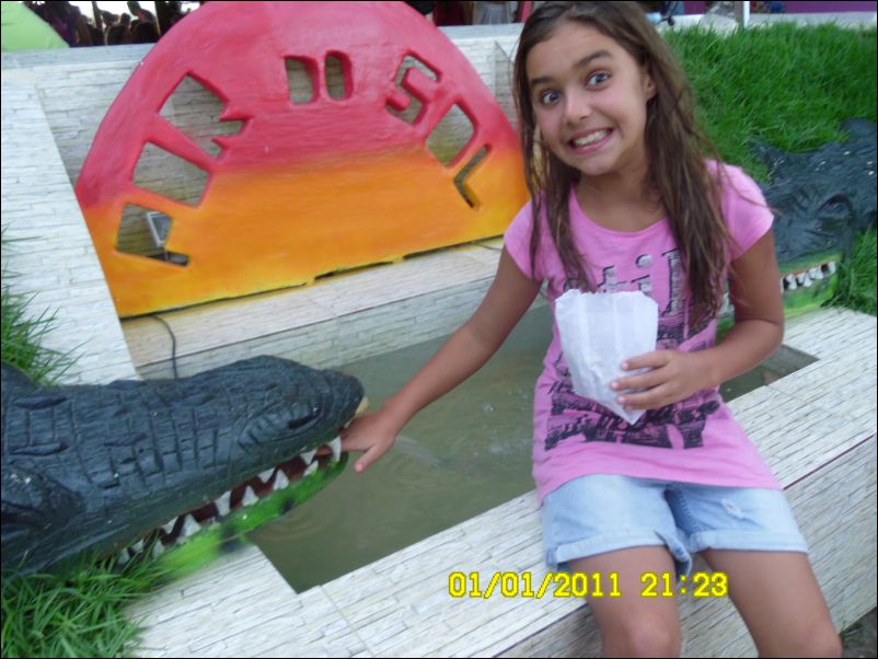 SAM_0354