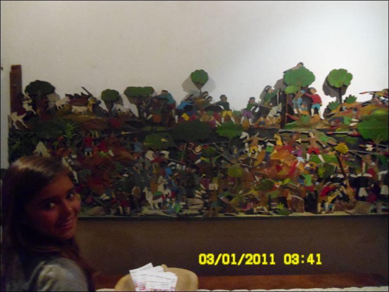 SAM_0452