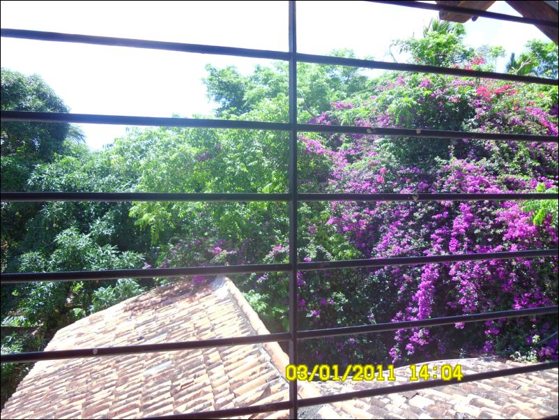 SAM_0464