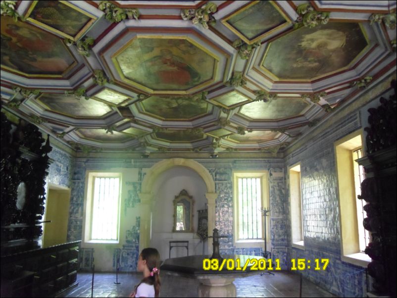 SAM_0516