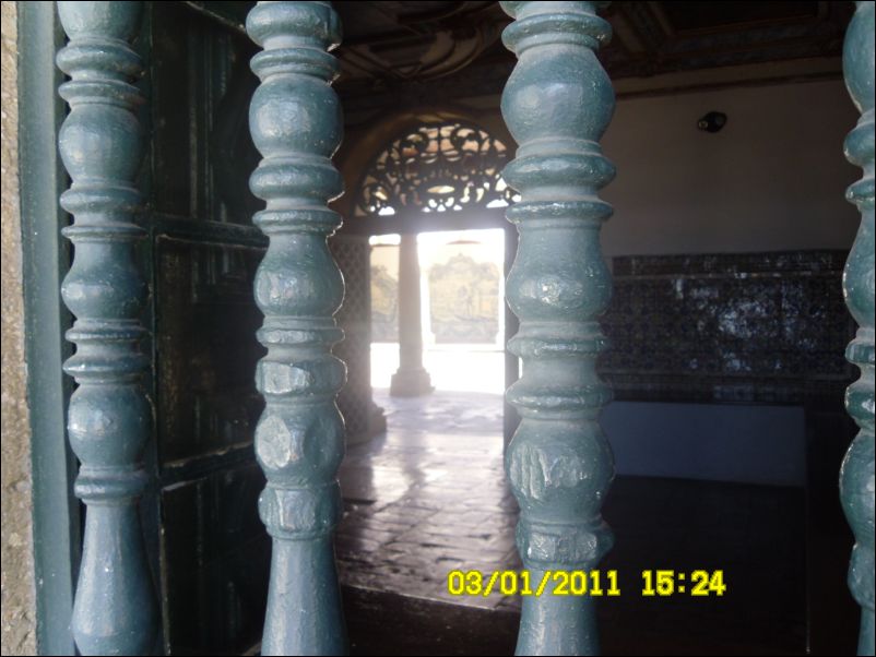 SAM_0529