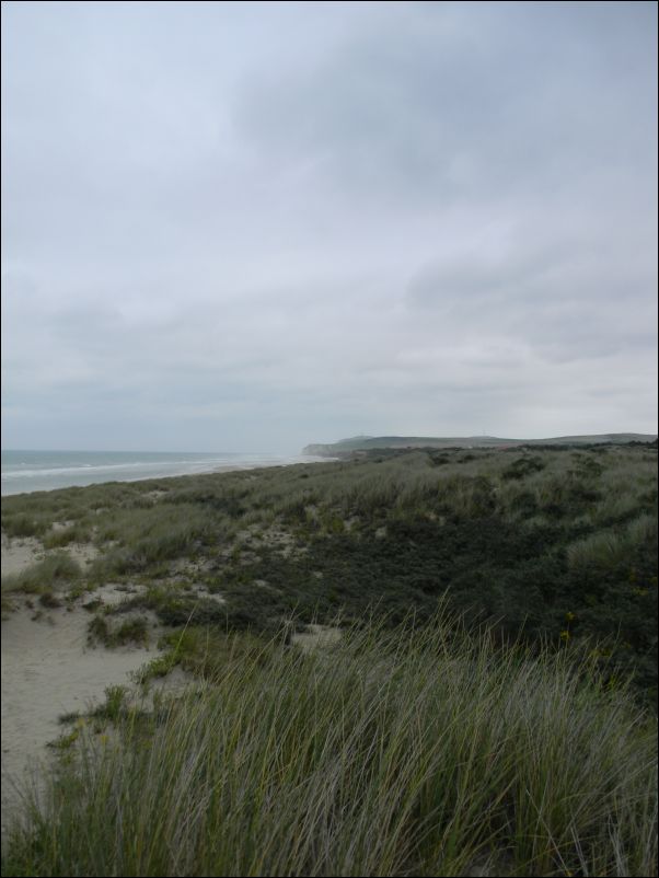 DSCN1930
