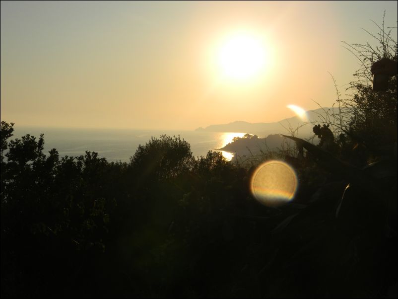DSCN2081