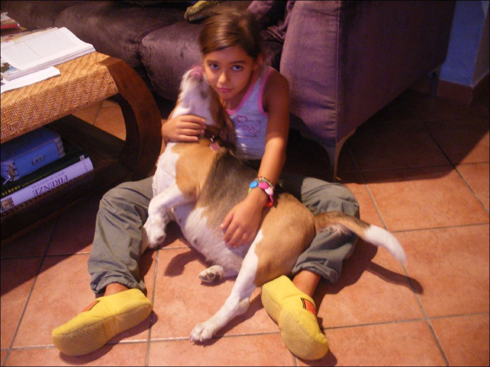amelie-2
