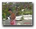 [Click to enlarge]