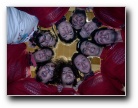 [Click to enlarge]