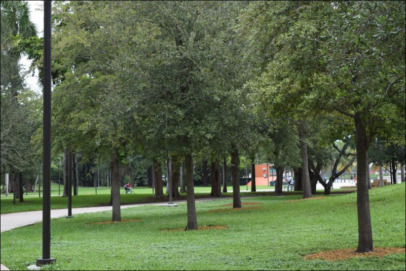 DSC_1174
