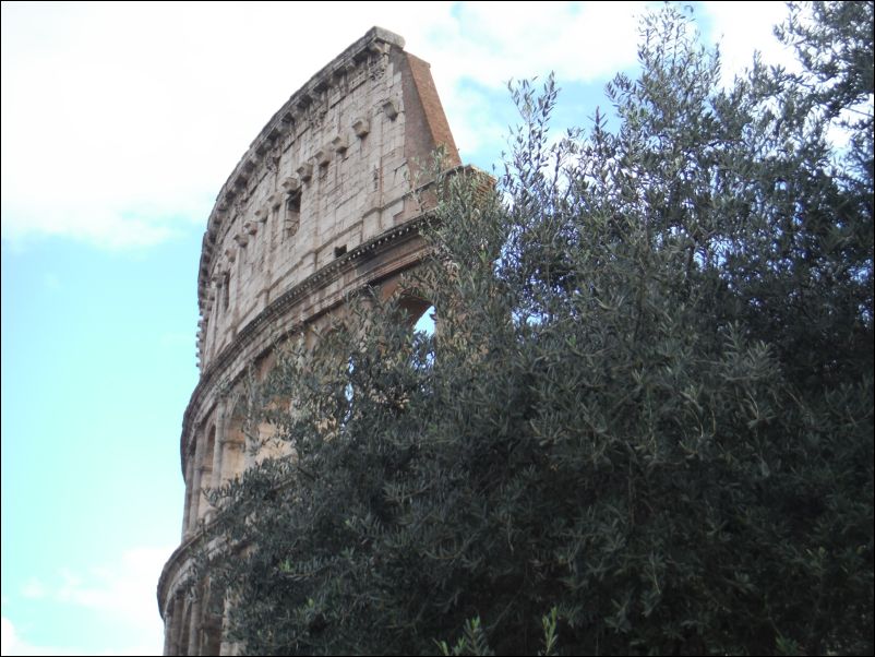 DSCF0431